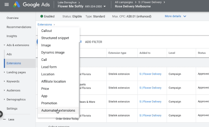 how to enable Google Ads automated extensions