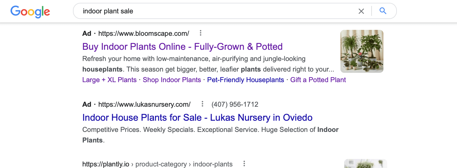 ad extensions for indoor plant sale google search