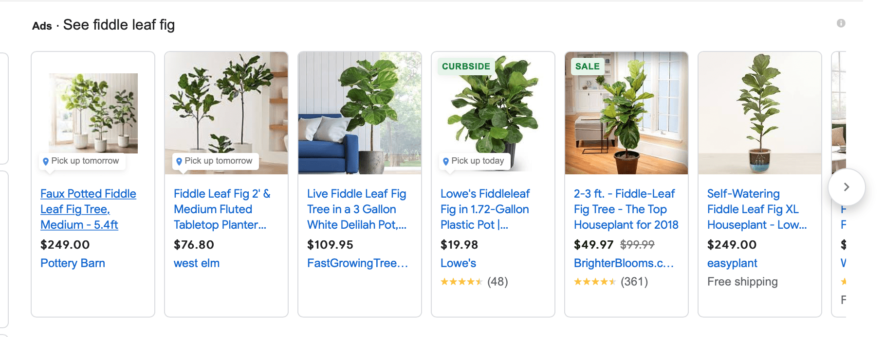 google shopping ads for leaf fig