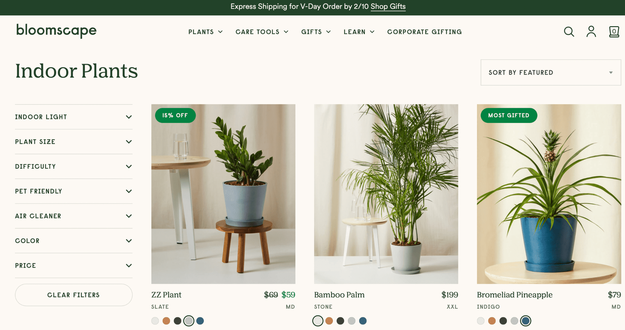 bloomscape indoor plants product pages