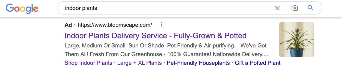 google search ad of indoor plants