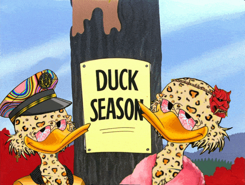 Duck Duckseason GIF - Duck Duckseason Duck Season GIFs