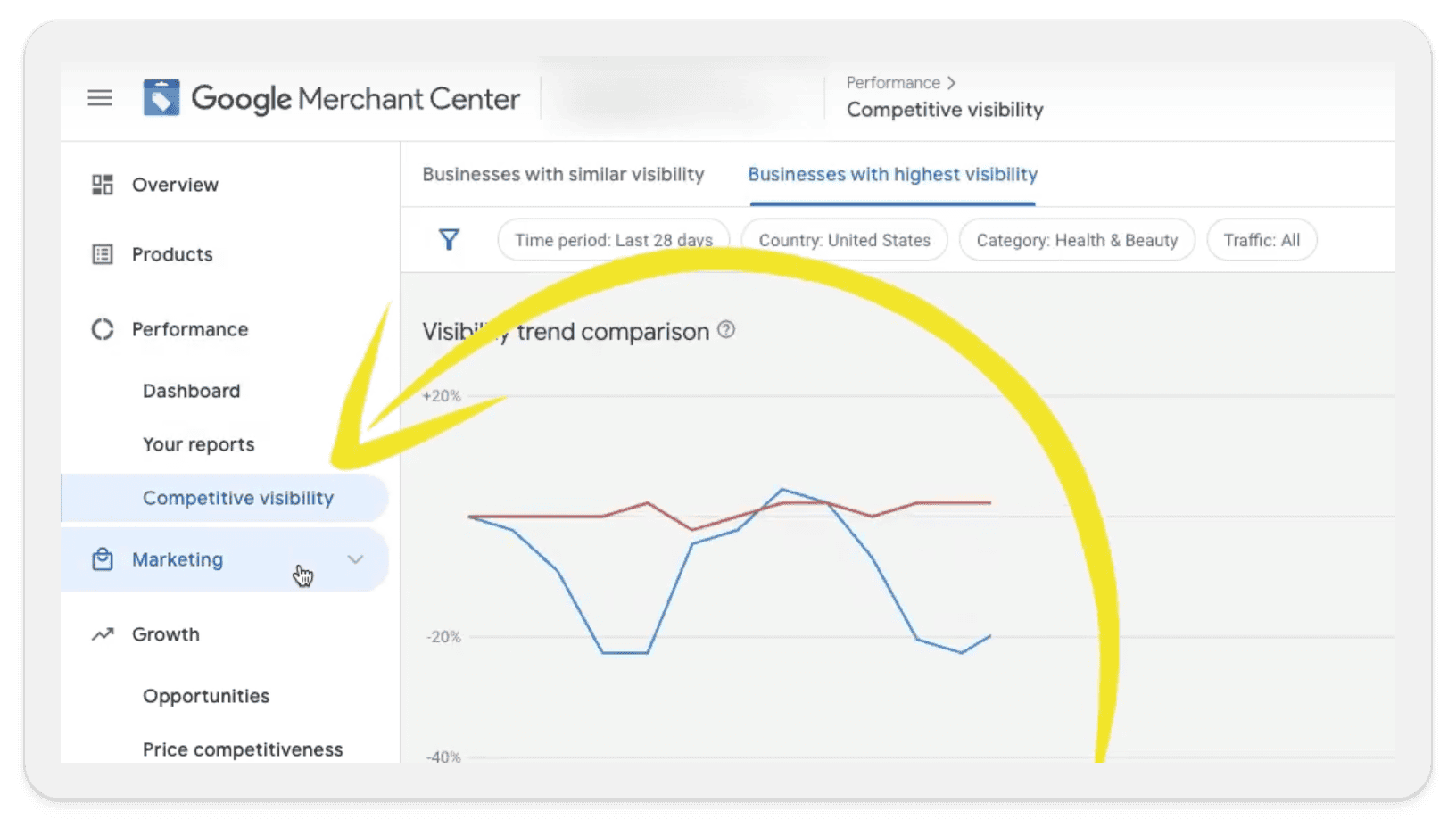 Competitive Visibility report